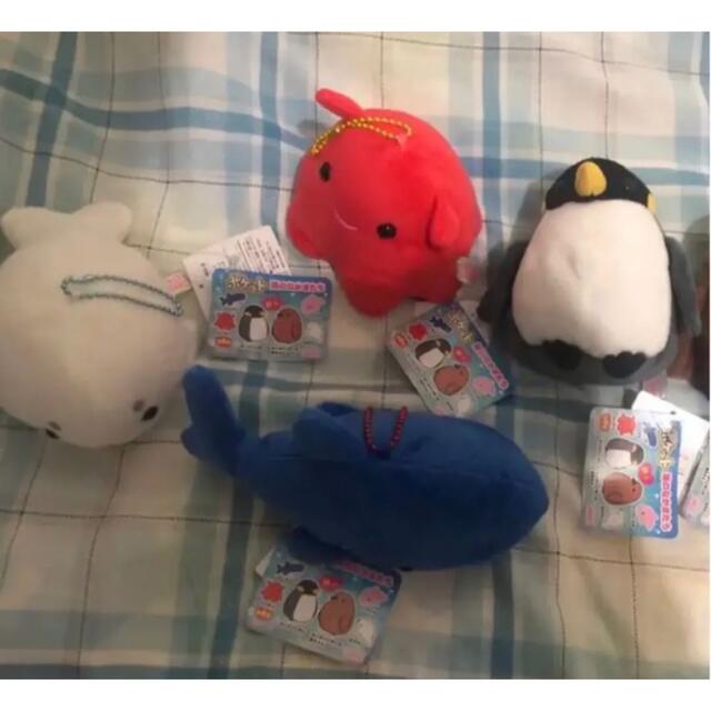 めいぐるみ ポケット 海の仲間たち サメ メンダコ キングペンギン あざらし エンタメ/ホビーのおもちゃ/ぬいぐるみ(ぬいぐるみ)の商品写真