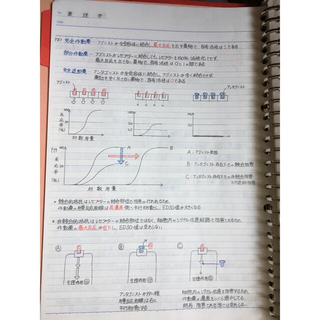 歯科衛生士、歯科技工士国家試験、定期試験対策シリーズ【薬理学】まとめノート エンタメ/ホビーの本(資格/検定)の商品写真