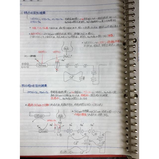 歯科衛生士、歯科技工士国家試験、定期試験対策シリーズ【薬理学】まとめノート エンタメ/ホビーの本(資格/検定)の商品写真