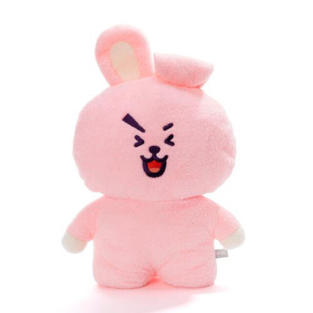 BT21 たっとんぬいぐるみ　Lサイズ　COOKY