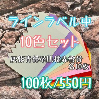 ◎ 100枚 ◎ 10色 ( 中 ) ラインラベル 園芸ラベル カラーラベル(プランター)