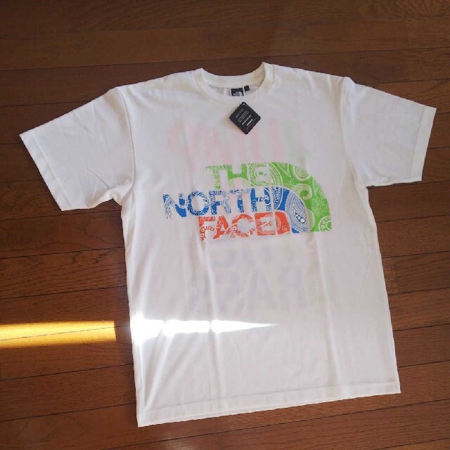 THE NORTH FACE ペイズリーロゴ半袖Tee Tシャツ/カットソー(半袖/袖なし)