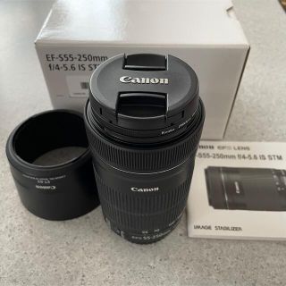 キヤノン(Canon)のcanon EFS55-250mm ジャンク品(レンズ(ズーム))