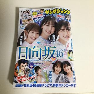 送料込み 週刊ヤングジャンプ ヤンジャン 47号 日向坂46(漫画雑誌)