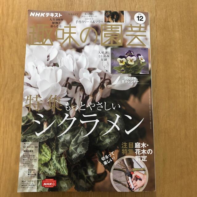 NHK 趣味の園芸 2021年 12月号 エンタメ/ホビーの雑誌(その他)の商品写真