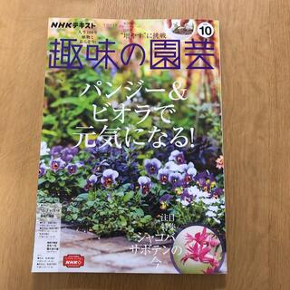 NHK 趣味の園芸 2021年 10月号(その他)