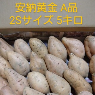 種子島安納黄金2S 5キロ(野菜)