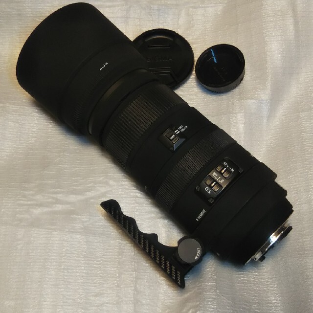 シグマ DG 120-400mm 4.5-5.6 APO HSM 動作 ニコン