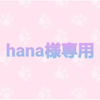 hana様専用(ポーチ)