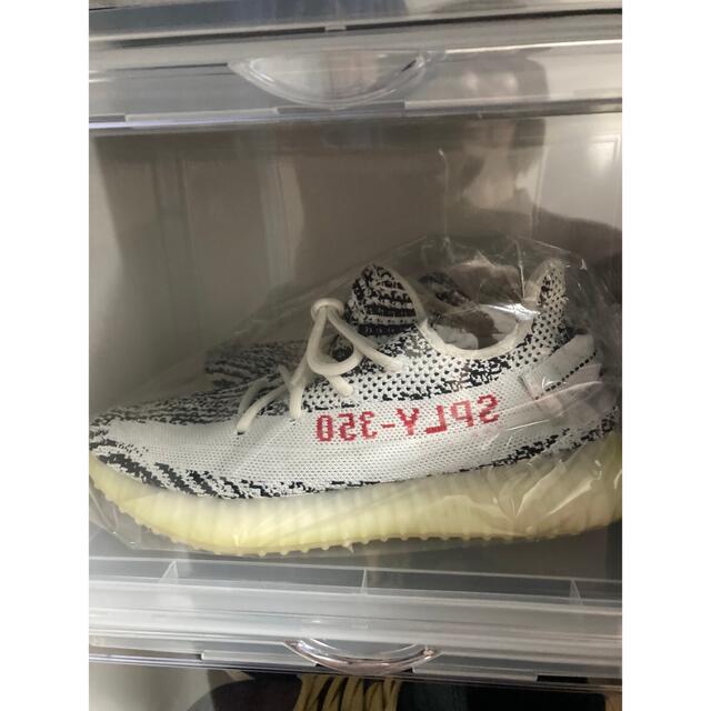 adidas(アディダス)のyeezy boost 350 v2 zebra メンズの靴/シューズ(スニーカー)の商品写真