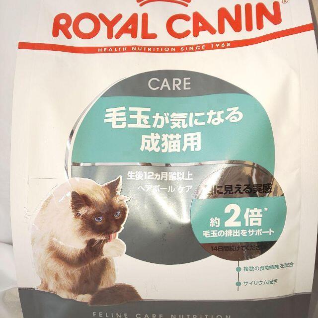 限定 ロイヤルカナン 猫  キャットフード  室内で生活 長毛用 毛玉が気になる その他のペット用品(猫)の商品写真