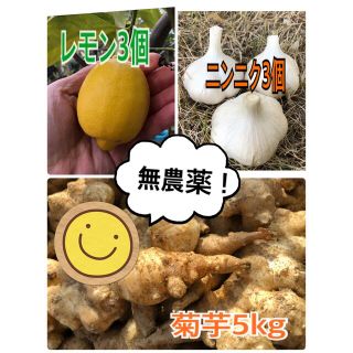 無農薬栽培　菊芋5kg＋レモン3個＋ニンニク3個(野菜)