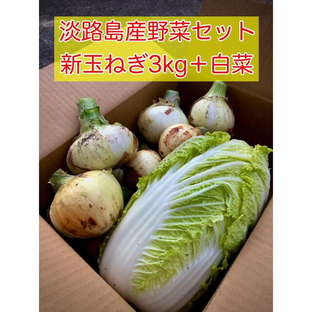 淡路島産 新玉ねぎ3kg+白菜セット 食品/飲料/酒の食品(野菜)の商品写真