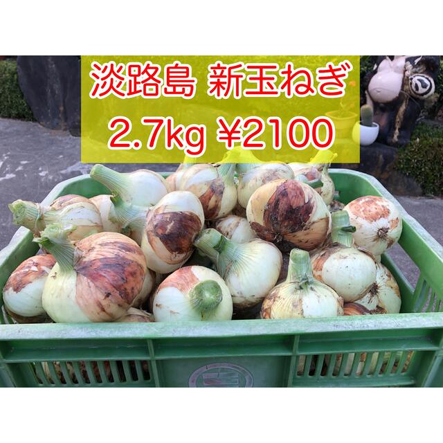 淡路島産 新玉ねぎ 2.7kg 食品/飲料/酒の食品(野菜)の商品写真