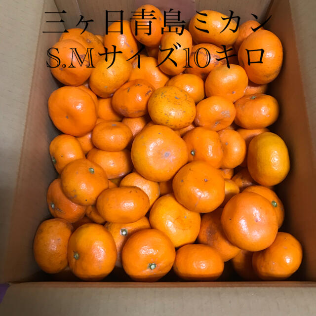 静岡三ヶ日青島ミカンS.Mサイズ　10キロ 食品/飲料/酒の食品(フルーツ)の商品写真