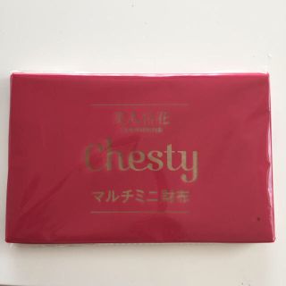 チェスティ(Chesty)のめぐみ様専用 美人百花12月号付録(財布)