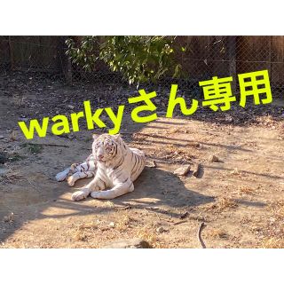 キリン(キリン)のwarkyさん専用 iMUSEセット(その他)