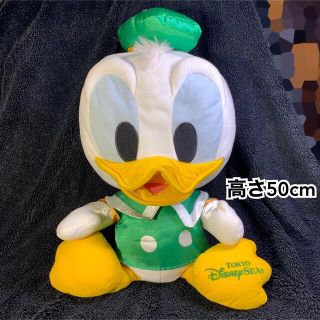 ドナルドダックディズニーランドシーぬいぐるみ大小2体セット