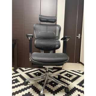 ハーマンミラー(Herman Miller)のエルゴヒューマン　プロ(デスクチェア)