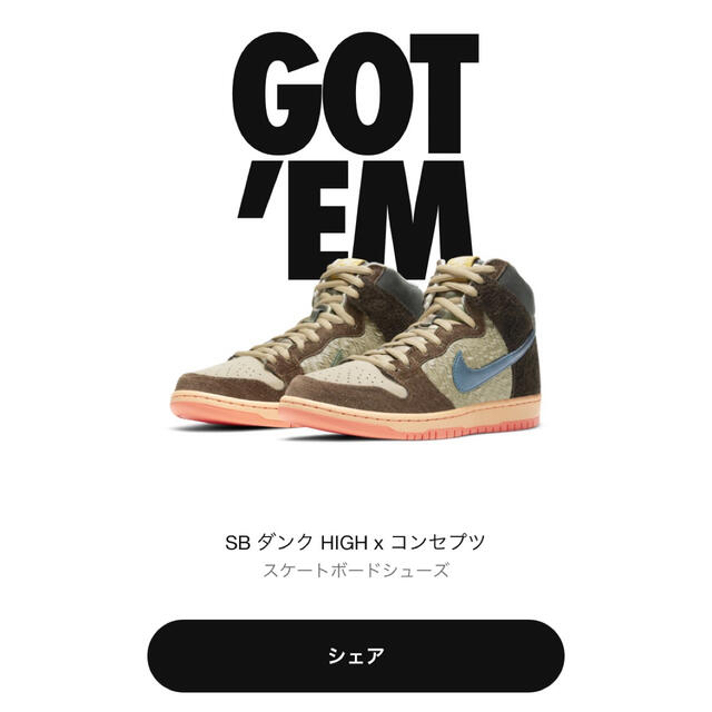 CONCEPTS × NIKE SB DUNK HIGH "DUCK"