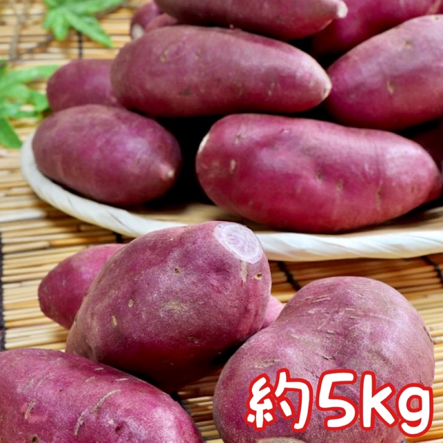 紫芋 ムラサキイモ 希少品種 パープルスイートロード 5kg わけあり/送料込