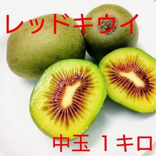 無農薬！キウイフルーツ【レッドキウイ】中玉1キロ(フルーツ)