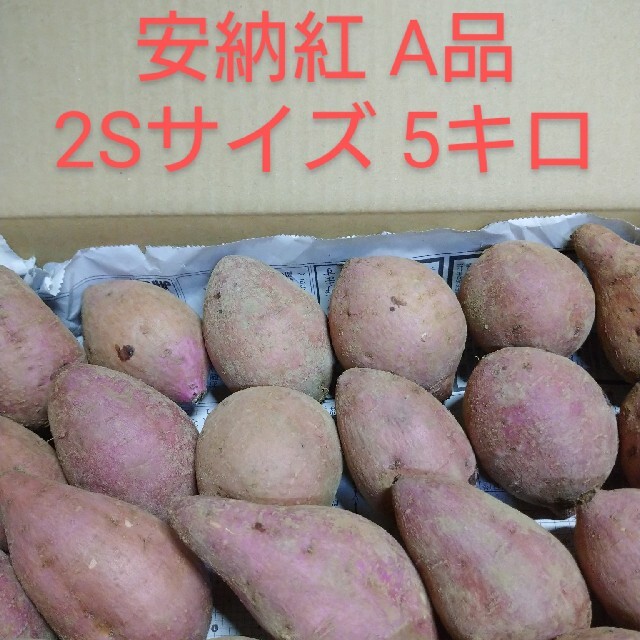 種子島安納紅2S 5キロ 食品/飲料/酒の食品(野菜)の商品写真