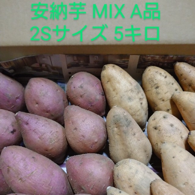 種子島安納芋MIX 2S 5キロ 食品/飲料/酒の食品(野菜)の商品写真