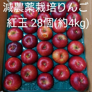 減農薬栽培りんご　紅玉28個(約4kg)家庭用