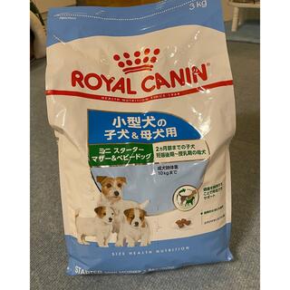 ロイヤルカナン(ROYAL CANIN)のロイヤルカナン 小型犬 子犬 母犬 ドッグフード 3kg(ペットフード)