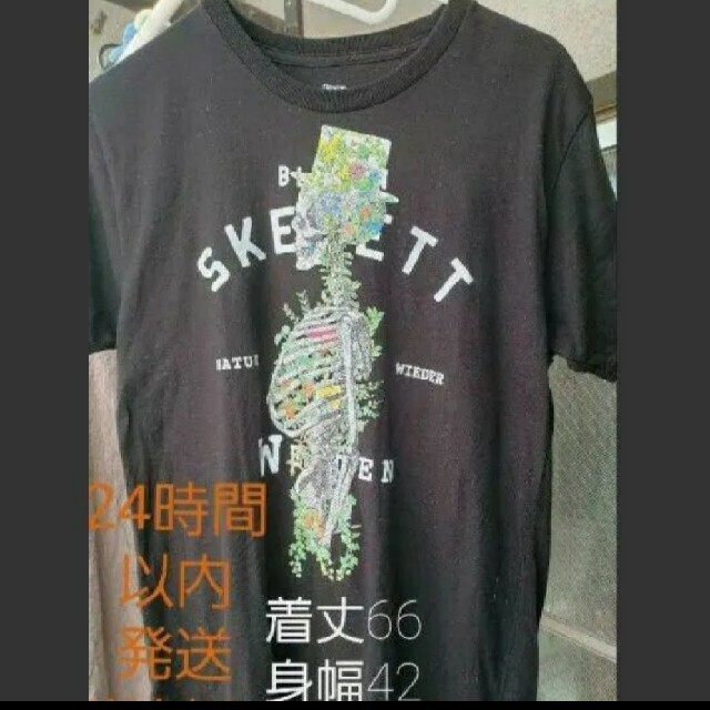 Graniph グラニフ Mサイズ 半袖tシャツの通販 By お茶 S Shop グラニフならラクマ Graniph グラニフ Mサイズ 半袖tシャツの通販 By お茶 S Shop グラニフならラクマ
