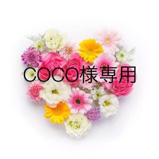 シャネル(CHANEL)のCOCO様専用(サンプル/トライアルキット)