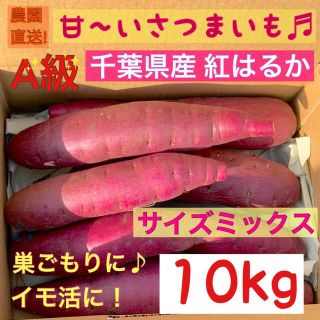 千葉県産サツマイモ　熟成紅はるか　サイズミックス5kg×2箱(野菜)