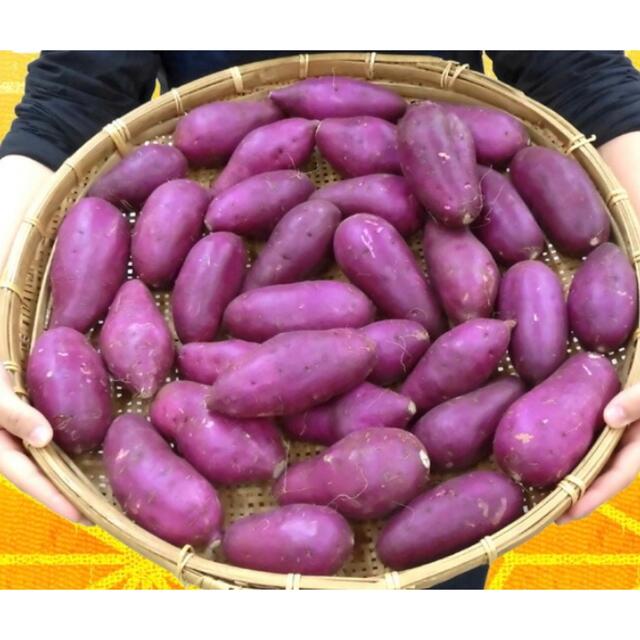 紫芋 ムラサキイモ 希少品種 パープルスイートロード 5kg わけあり/送料込 食品/飲料/酒の食品(野菜)の商品写真