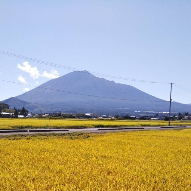 お米　２０キロ　白米　いわてっこ 食品/飲料/酒の食品(米/穀物)の商品写真