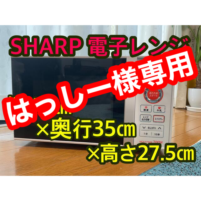 SHARPシャープ RE-TS3 電子レンジ60Hz専用