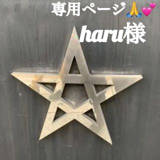 haru様専用(その他)