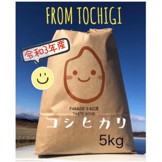 おすすめ☆農家自慢のお米☆白米5キロ(米/穀物)