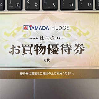 ヤマダ電機　株主優待券　500円6枚　3000円分　2022年6月 Yamada(ショッピング)