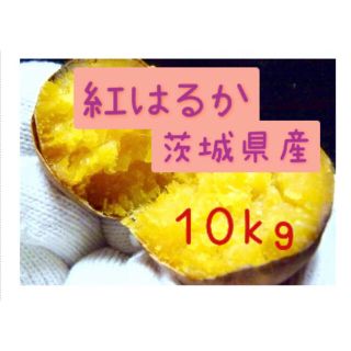 さつまいも　紅はるか　10kg   (野菜)