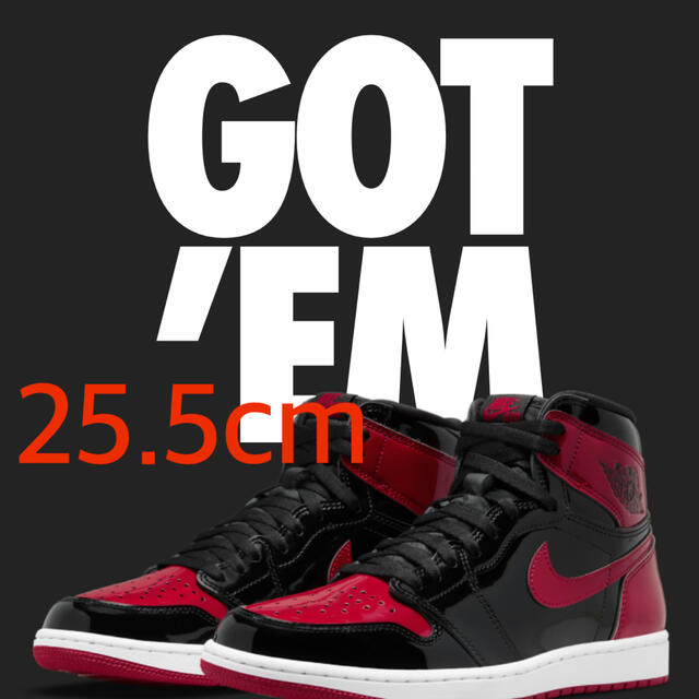 25.5cm NIKE Air Jordan 1 Retro High OG