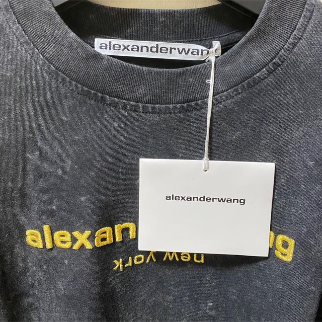 Alexander Wang(アレキサンダーワン)のalexander wang ロンT メンズのトップス(Tシャツ/カットソー(七分/長袖))の商品写真