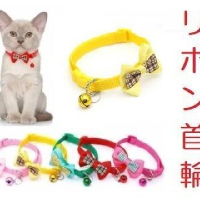 猫ちゃんリボン首輪（黄）　猫じゃらし／ねこじゃらし その他のペット用品(猫)の商品写真