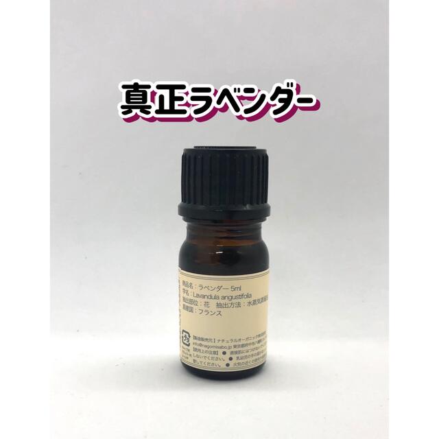 真正ラベンダー 5ml アロマ オイル 精油 抗菌 殺菌 コスメ/美容のリラクゼーション(エッセンシャルオイル（精油）)の商品写真