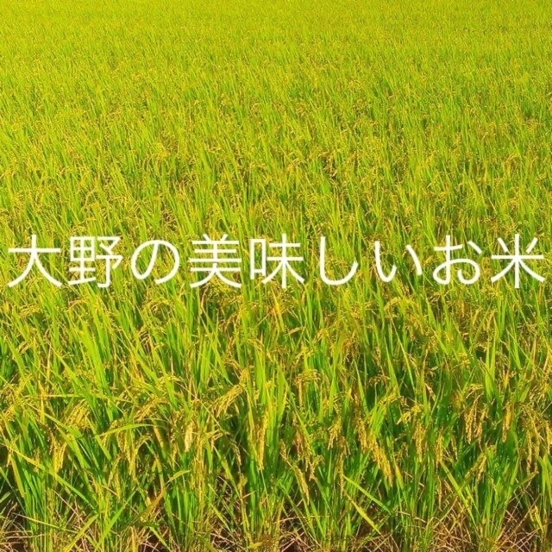 完売しました。岩福特別栽培米　にじのきらめき精米令和5年産5キロ 食品/飲料/酒の食品(米/穀物)の商品写真