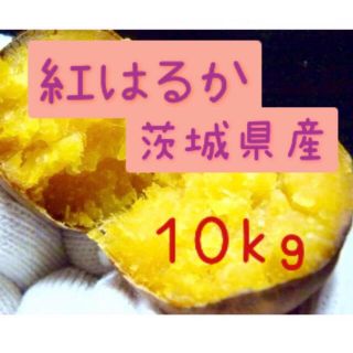 さつまいも　紅はるか　10kg   (野菜)