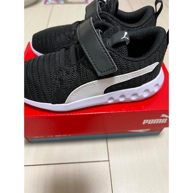 PUMA(プーマ)の新品キッズ　puma 16cm キッズ/ベビー/マタニティのキッズ靴/シューズ(15cm~)(スニーカー)の商品写真