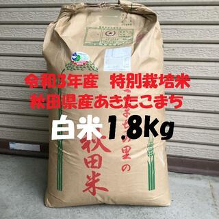 令和3年産　特別栽培米　秋田県産あきたこまち(検査1等米)　白米1.8kg(米/穀物)
