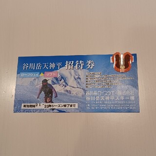 スペシャル限定品 栂池高原スキー場 1日リフト券・ICカード 定番継続 