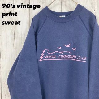 ヘインズ(Hanes)の【くすみカラー】90's vintage HanesヘインズプリントスウェットL(スウェット)